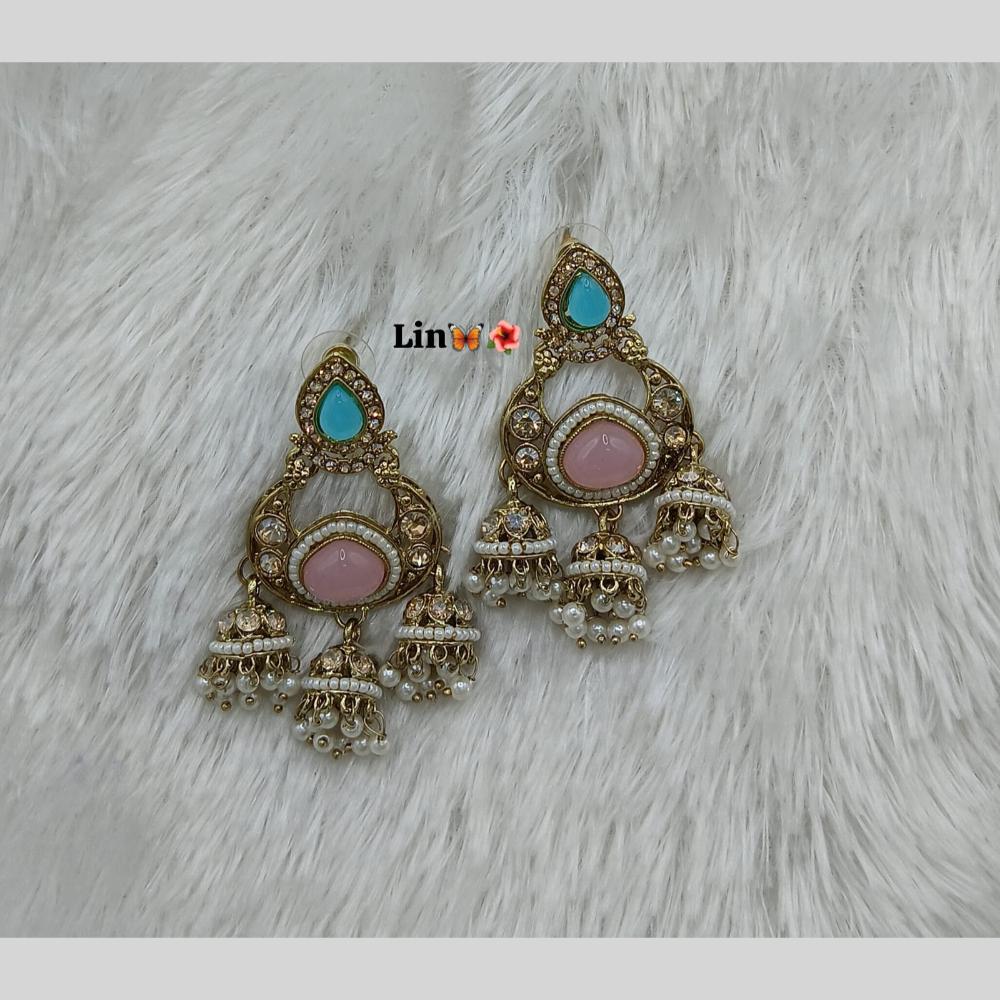 Lucentarts Jewellery Gold Plated Pota Stone And Pearl Jhumki Earrings
