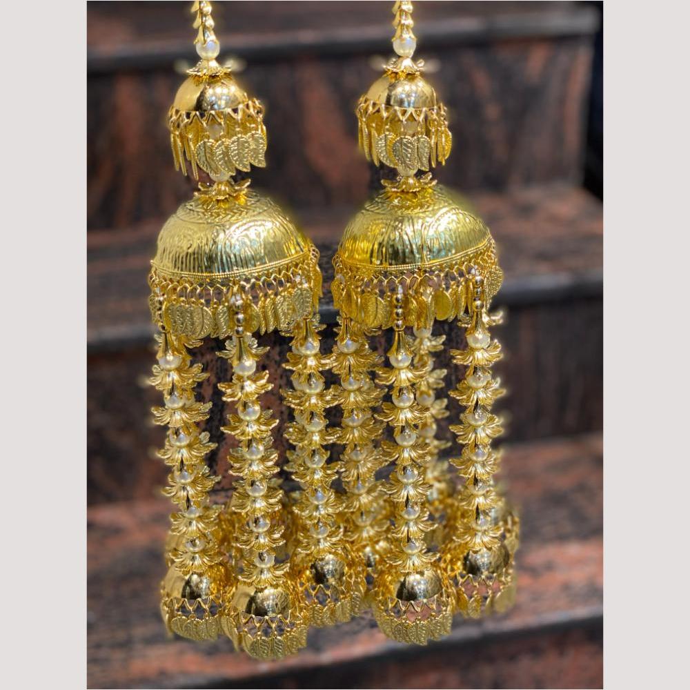Hira Collections Heavy Look Grand Dulhan Pearl Kalire
