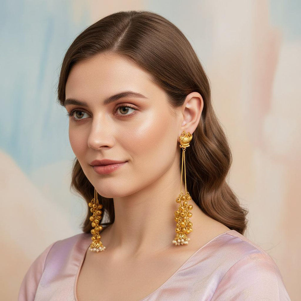 Dhirish International Trendy Peacock And Ghungroo Kashmiri Dangler Earrings
