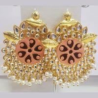 Shreeji Gold Plated Meenakari Dangler Earrings