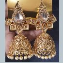 Shreeji Gold Plated Crystal Stone Jhumki Earrings