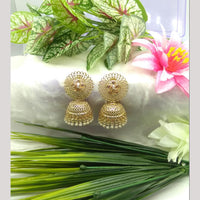 Manisha Jewellery Gold Plated Pota Stone And Beads Jhumki Earrings