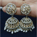 Manisha Jewellery Gold Plated Crystal Stone And Pearls Jhumki Earrings