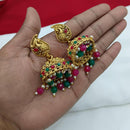 Lucentarts Jewellery Gold Plated Pota Stone And Pearl Jhumki Earrings