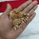 Lucentarts Jewellery Gold Plated Pota Stone And Pearl Jhumki Earrings