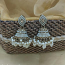 Lucentarts Ethnic Pota Stones and Pearl Jhumki Earrings