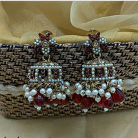 Lucentarts Ethnic Pota Stones and Pearl Jhumki Earrings