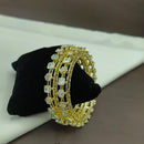 Lucentarts Jewellery Gold Plated Crystal Stone Bangles Set