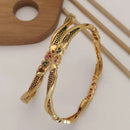 H K Fashion Gold Plated Bangle Set