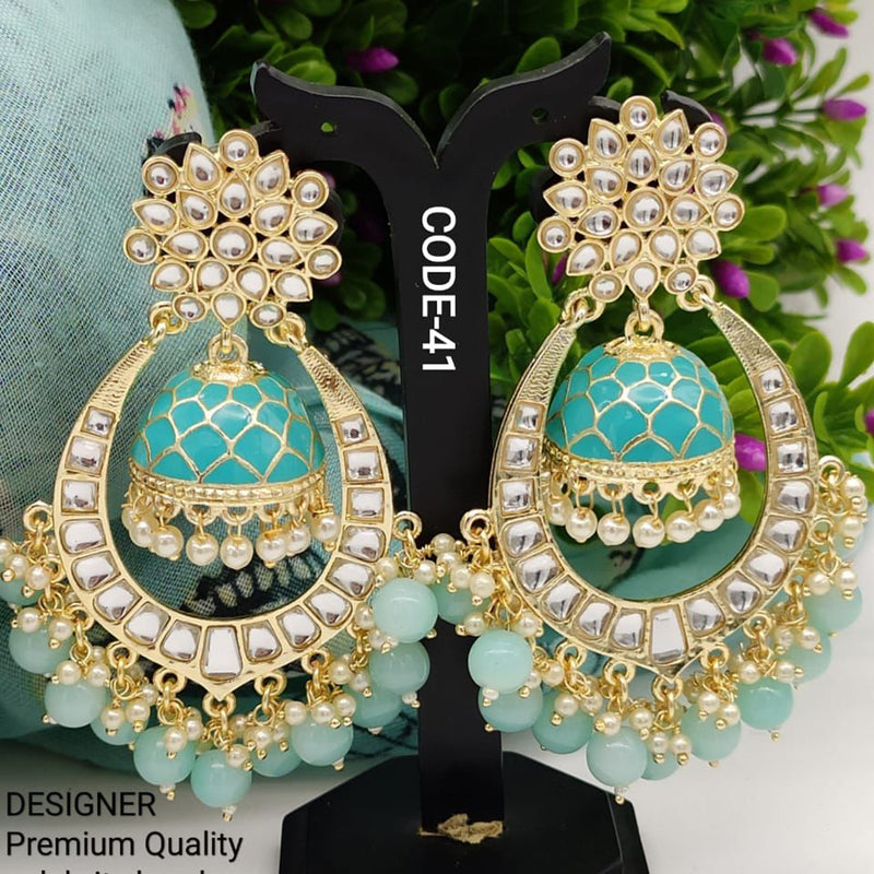 India Art Gold Plated Meenakari Jhumki Earrings