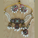 India Art Gold Plated Pota Stone And Pearls Choker Necklace Set