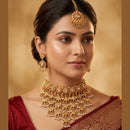 India Art Gold Plated Pota Stone And Pearls Choker Necklace Set