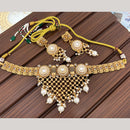India Art Classic Pota Stone And Pearl Choker Necklace Set for Women