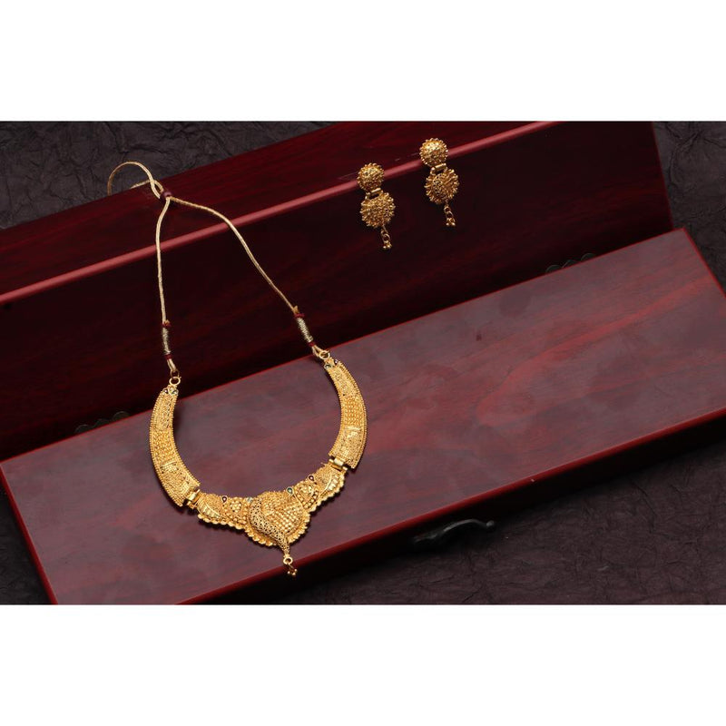 Darshana Jewels Gold Plated Pota Stone Long Necklace Set