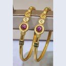 Raiyaraj Shimmering Austrian Stone Detailing Bangles Set