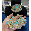 Hira Collections Floral Inspired Choker Necklace Set for Festive Wear