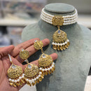 Hira Collection  Pearl Beauty And Beadwork Necklace Set