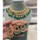 Hira Collections Royal Pota Stone Pearl And Beads Necklace Set