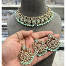 Hira Collections Elegant Crystal Stone And Pearl Choker Necklace Set