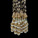 Hira Collections Heavy Shell  Work Hair Paranda