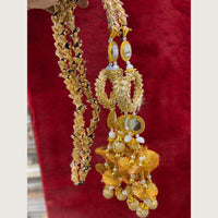 Hira Collections Heavy Mirror And Shell Work Hair Paranda