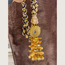 Hira Collections Heavy Shell Work Hair Paranda