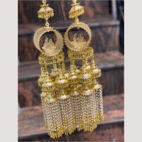 Hira Collections Heavy Look Grand Dulhan Pearl Kalire