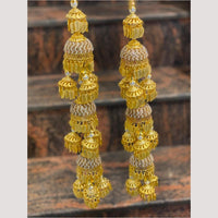 Hira Collections Heavy Look Grand Dulhan Pearl Kalire