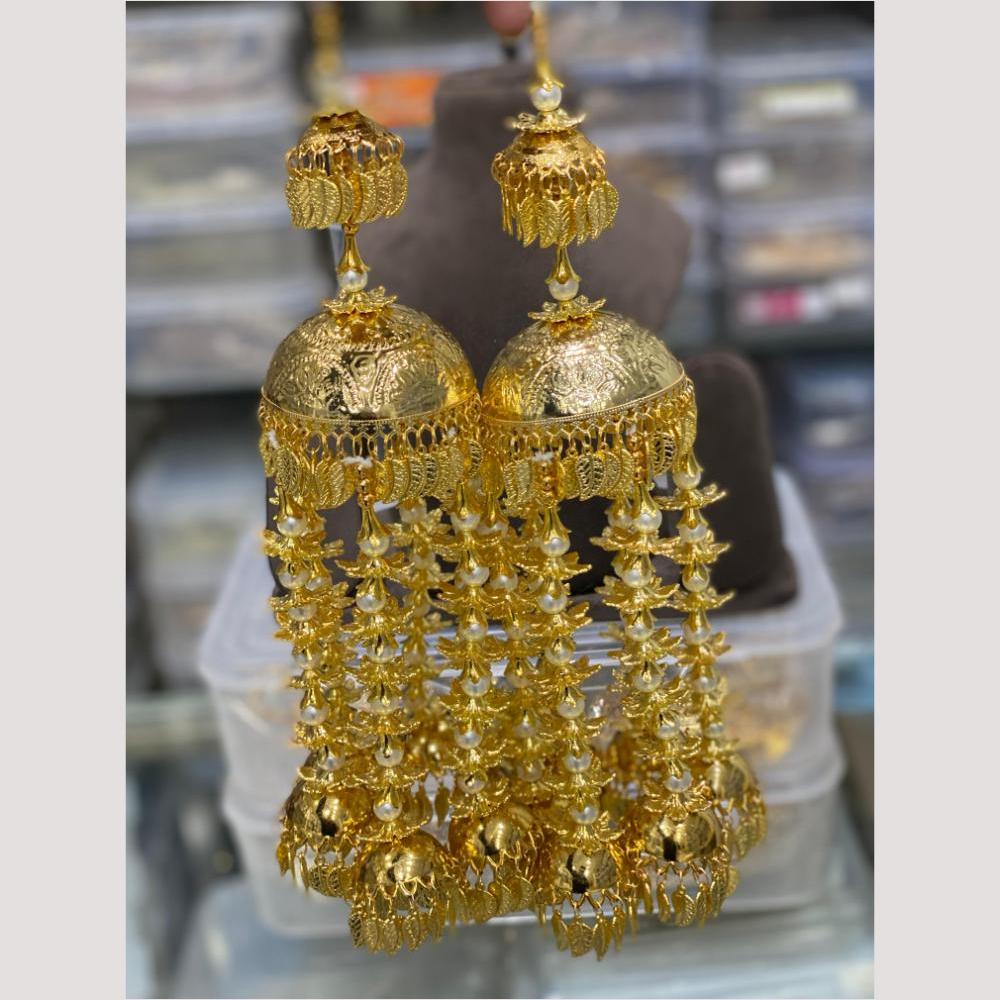 Hira Collections Heavy Look Grand Dulhan Pearl Kalire