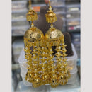 Hira Collections Heavy Look Grand Dulhan Pearl Kalire