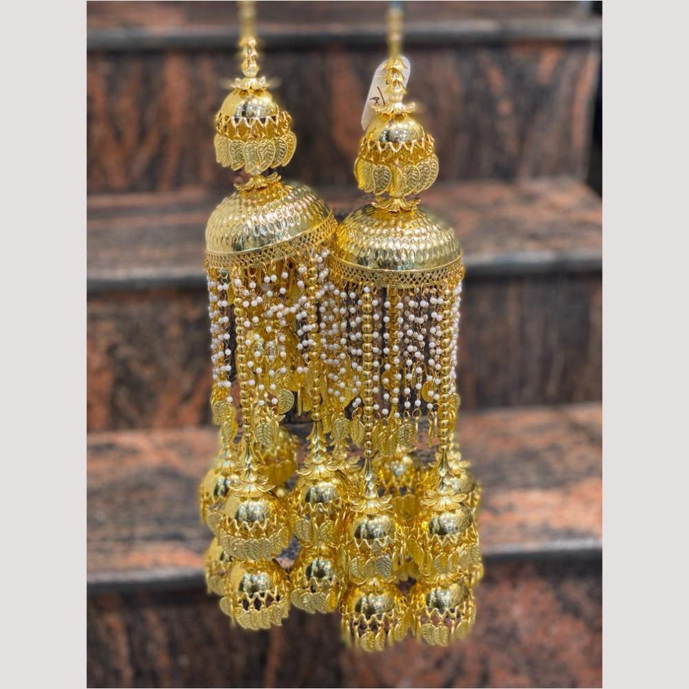 Hira Collections Heavy Look Grand Dulhan Pearl Kalire