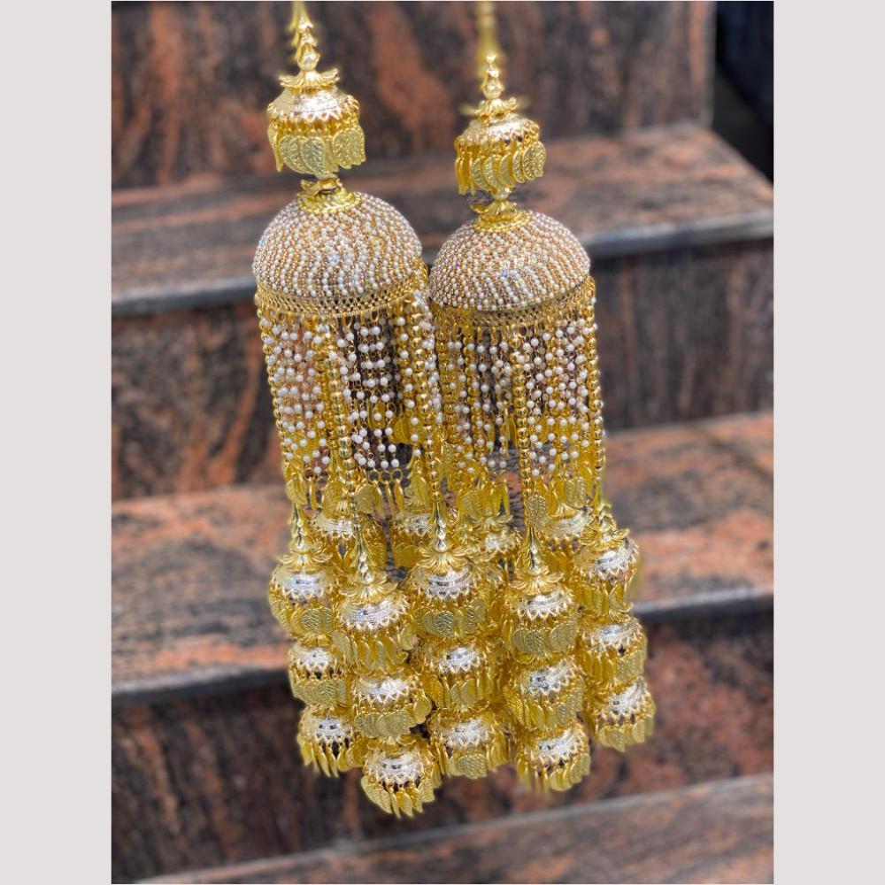 Hira Collections Heavy Look Grand Dulhan Pearl Kalire