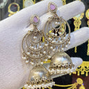 Hira Collections Fashionable Pota Stone And Pearl Jhumki Earrings