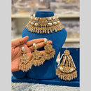 Hira Collections Gorgeous Floral Austrian Stone And Beads Choker Necklace Set