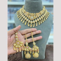 Hira Collections Decent Pota Stone And Pearl Choker Necklace Set