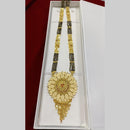 Pari art Jewellery Forming Manglasutra