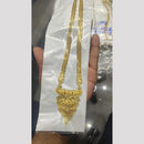 Pari Art Jewellery Sunehri Dhaara Elegant Forming Gold Long Necklace Set 