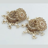 SNERA Gold Plated Crystal Stone Jhumki Earrings