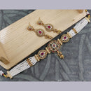 SNERA Gold Plated Crystal Stone And Pearls Choker Necklace Set
