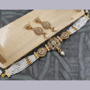 SNERA Gold Plated Crystal Stone And Pearls Choker Necklace Set