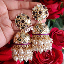 SNERA Gold Plated designer Mirror Jhumkis Earrings