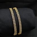 SNERA Silver Plated Crystal Stone Bangles Set