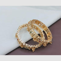 SNERA Elegant  Austrain Stone And Pearl Designer  Bangles Set