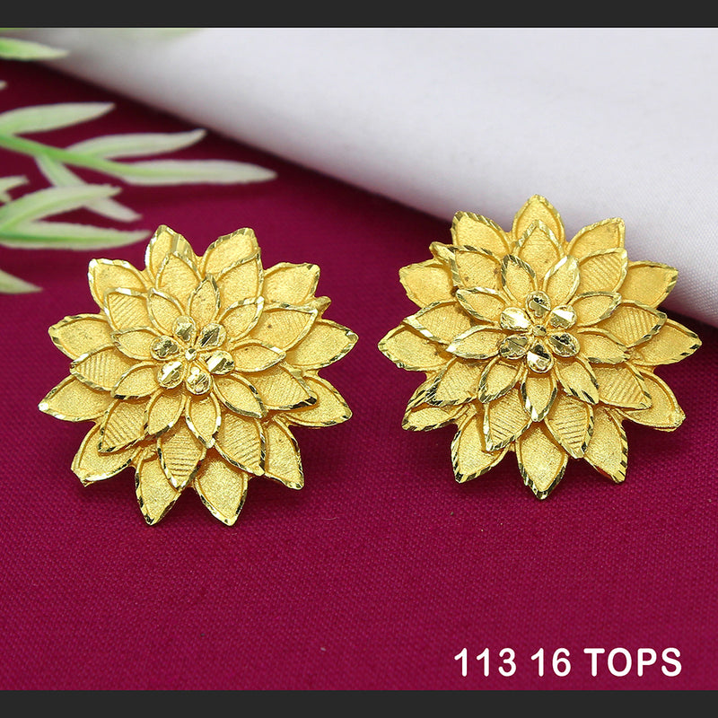 Mahavir Dye Gold Studs Earrings