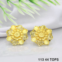 Mahavir Dye Gold Studs Earrings