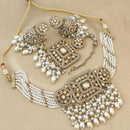 FS Collection Gold Plated Crystal Stone and Beads Choker Necklace Set