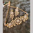 FS Collection Gold Plated Kundan Choker Necklace Set