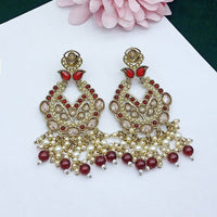 FS Collection Graceful Crystal Stone Pearl And Beaded Dangler Earrings