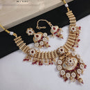 Akruti Collection Gold Plated Pota Stone And Pearls Meenakari Necklace Set