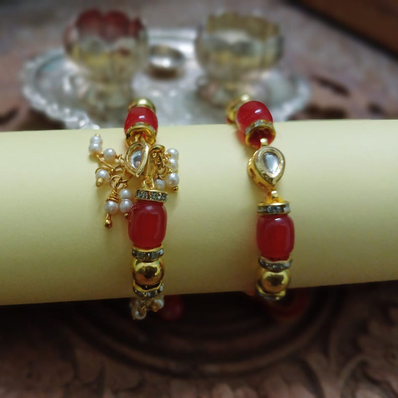 Shrijicreation Handmade Rakhi Combo